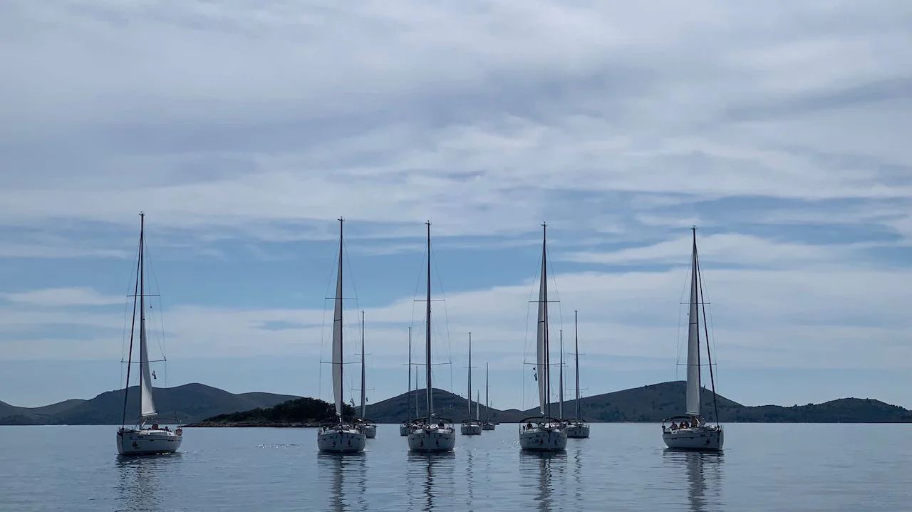 Successful Sailing - Boats in the sea