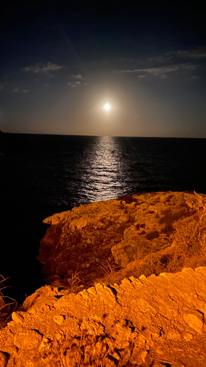Successful Sailing - Moonlight over the sea at night