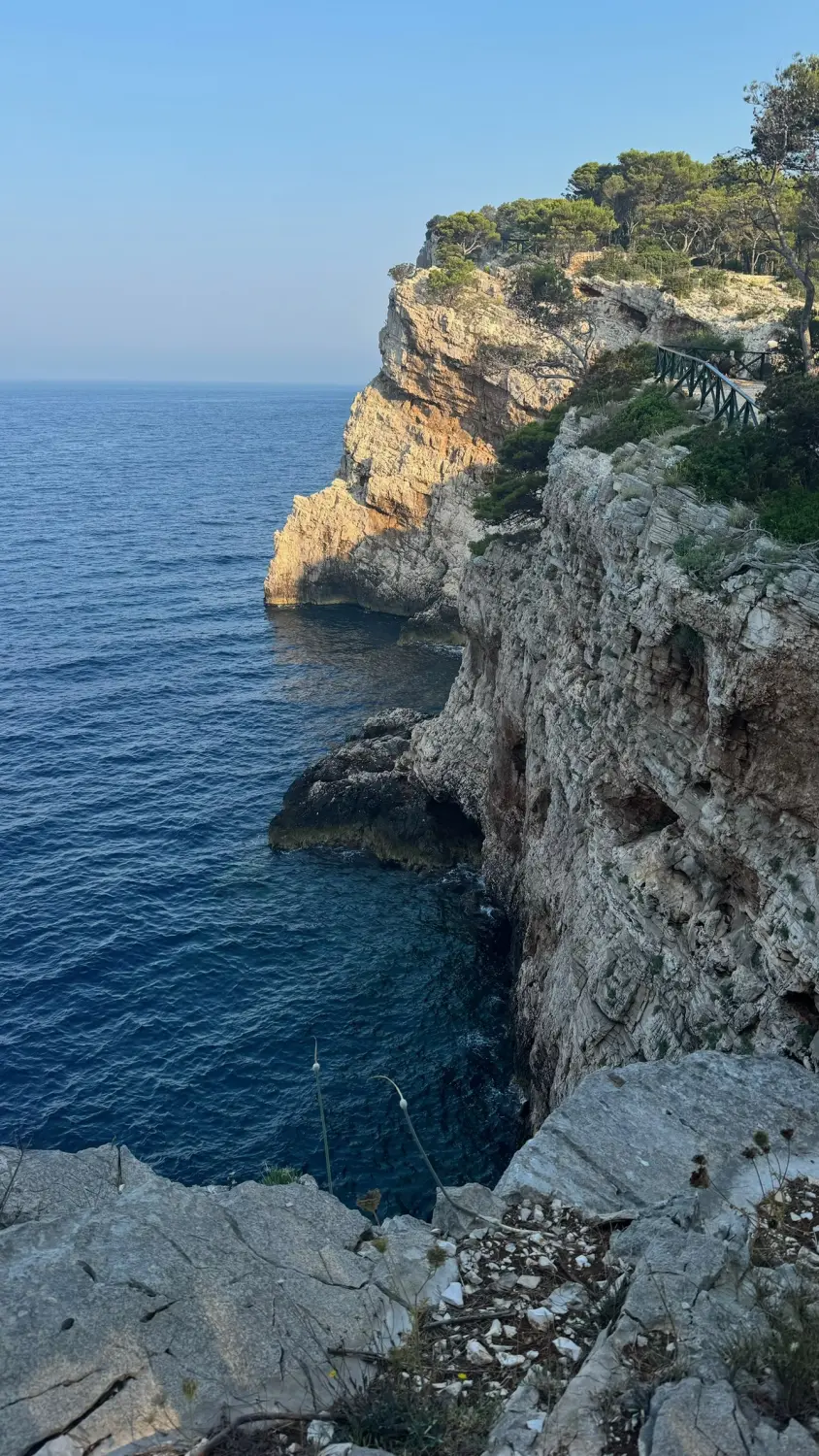 Successful Sailing - Rocky mountains and sea views