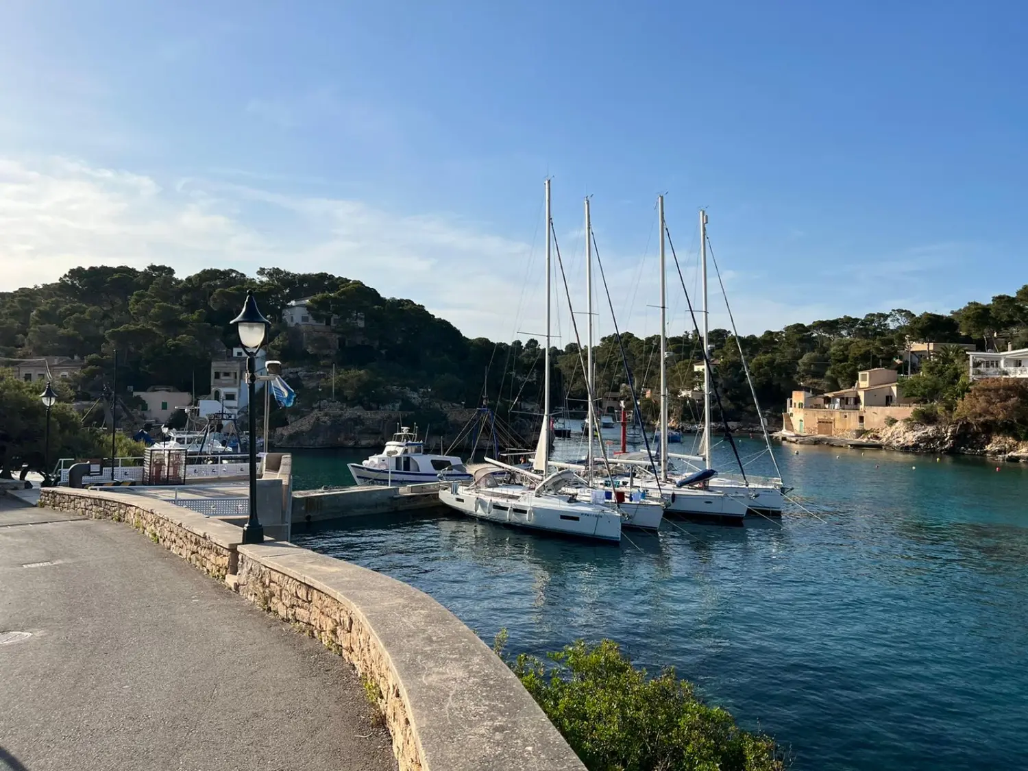 Successful Sailing - Boats sailing in the sea