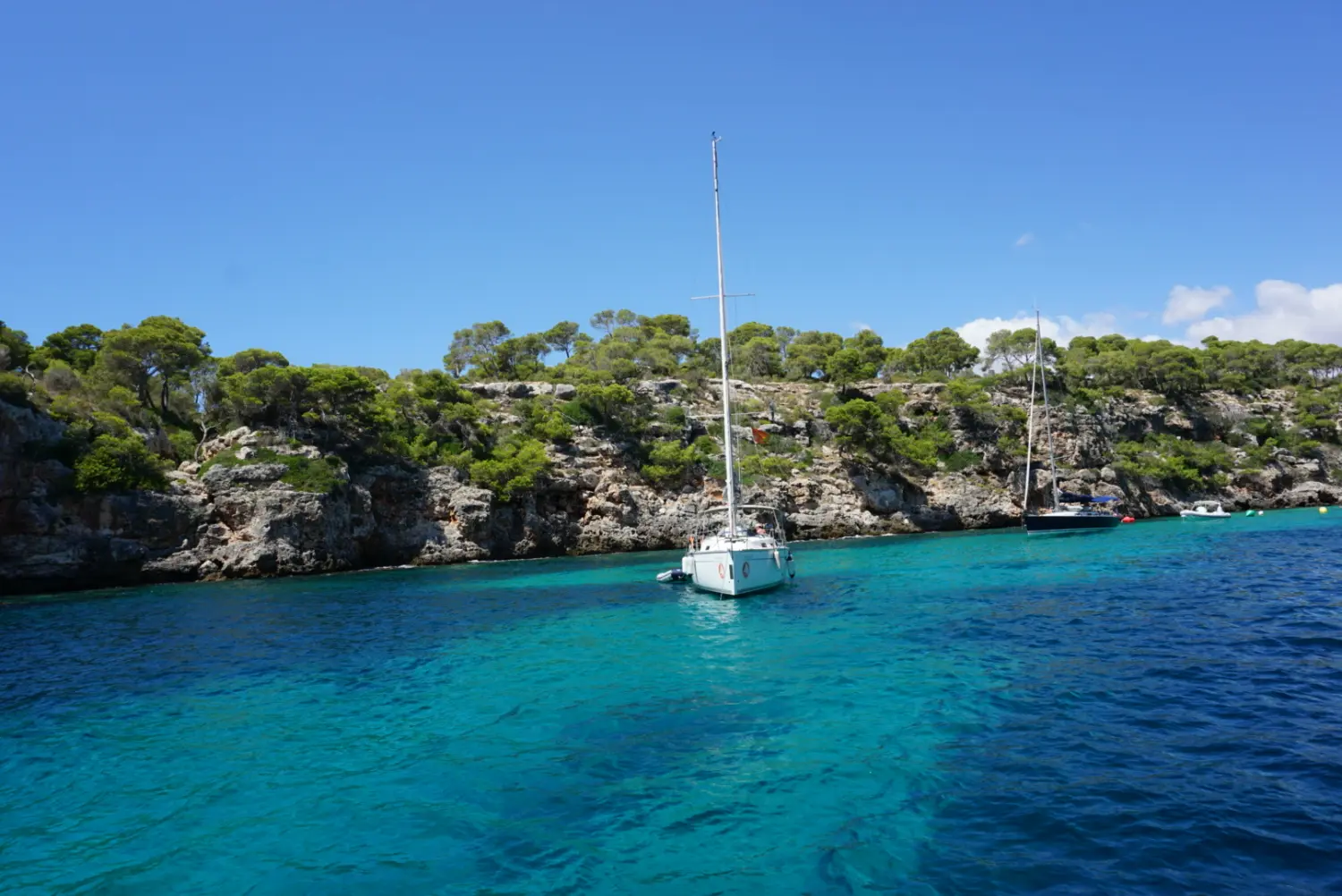Successful Sailing - Skipper Thomas Lindloff