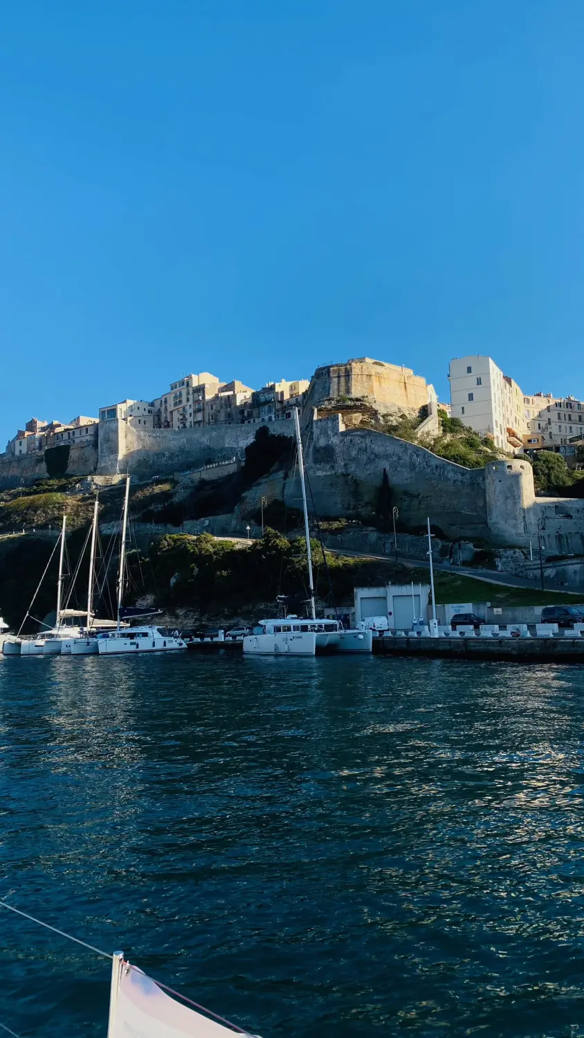 Successful Sailing - Boats in the sea