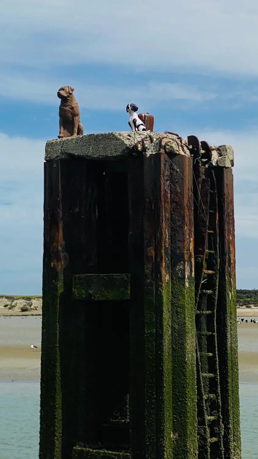 Successful Sailing - Sea post with dog statues