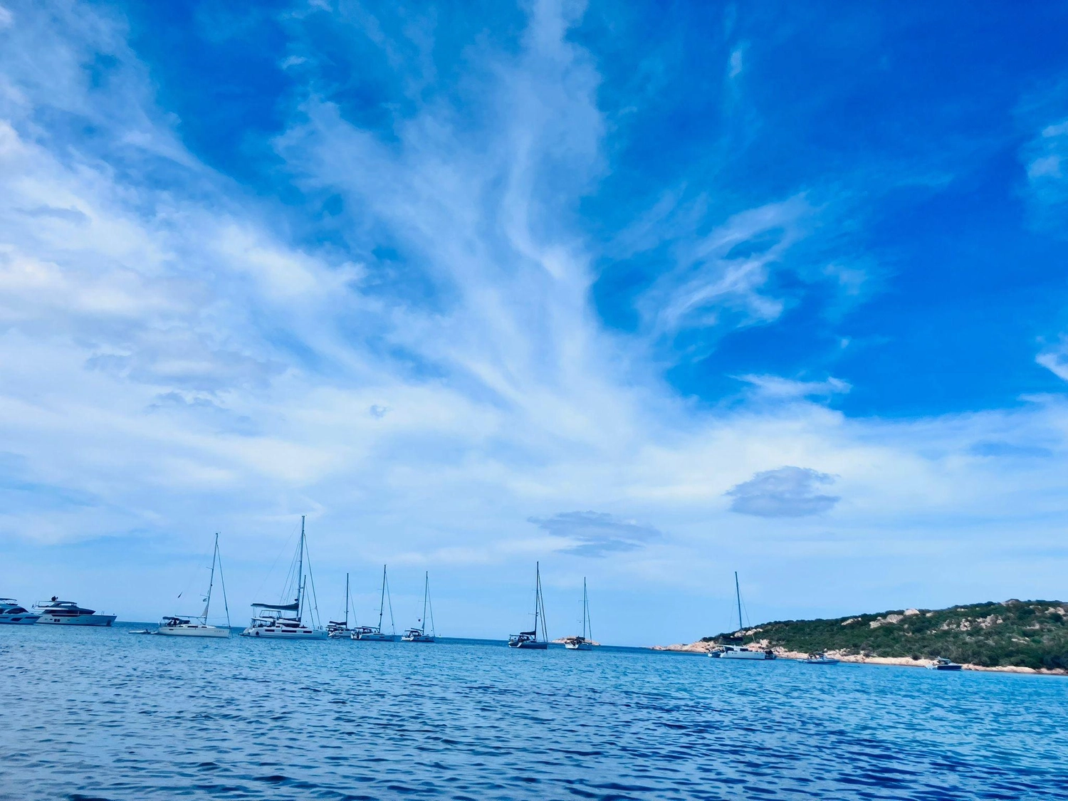 Successful Sailing - Bootstau